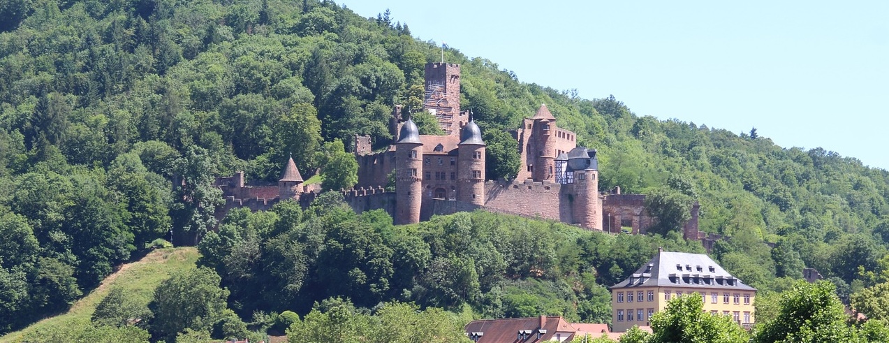 Blick über Wertheim am Main mit der Burg.